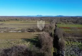 Veliko građevinsko zemljište u srcu Istre, Barban, Terra