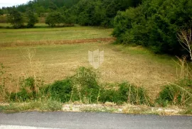 Odlično zemljište nedaleko Kanfanara, Kanfanar, Terreno