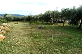 Rakalj,kuća s bazenom, pomoćnim objektom i građevinskim zemljištem 3000m2, Marčana, Casa