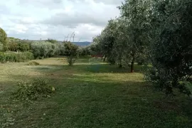 Rakalj,kuća s bazenom, pomoćnim objektom i građevinskim zemljištem 3000m2, Marčana, Casa