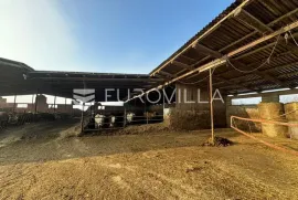 Selci Đakovački, govedarska farma s mogućnošću prenamijene, 11370 m2, Đakovo, العقارات التجارية