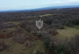 Veliko zemljište sa građevinskom dozvolom, Barban, Terreno