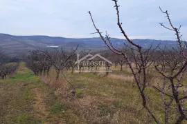 Grocka - Zaklopača - 38,85ari ID#23861, Grocka, أرض