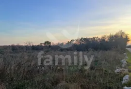 POLJOPRIVREDNO ZEMLJIŠTE U VALTURI, Ližnjan, Terra