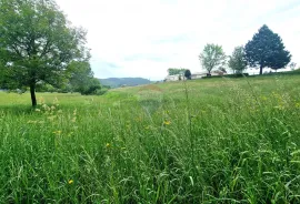 Istra,Pazin-Građevinsko zemljište mješovite namjene, Pazin, Terrain