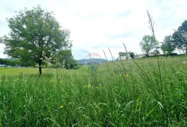 Istra,Pazin-Građevinsko zemljište mješovite namjene, Pazin, Terrain