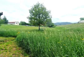 Istra,Pazin-Građevinsko zemljište mješovite namjene, Pazin, Terrain