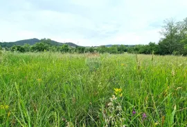 Istra,Pazin-Građevinsko zemljište mješovite namjene, Pazin, Terrain