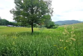 Istra,Pazin-Građevinsko zemljište mješovite namjene, Pazin, Terrain