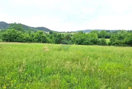 Istra,Pazin-Građevinsko zemljište mješovite namjene, Pazin, Terrain