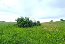 Istra,Pazin-Građevinsko zemljište mješovite namjene, Pazin, Terrain