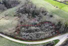 Istra, Žminj okolica - građevinsko zemljište 2200 m2, Žminj, Terrain