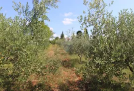 Istra,Vodnjan okolica,građevinsko-poljoprivredna parcela, Vodnjan, Arazi