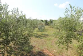 Istra,Vodnjan okolica,građevinsko-poljoprivredna parcela, Vodnjan, Terrain