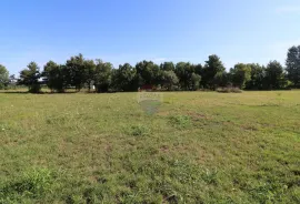 POREČ, okolica- zemljište pred urbanizacijom, Poreč, Land