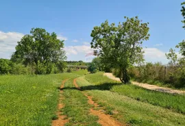 Poreč okolica: Građevinsko zemljište 7 km od Poreča, Poreč, Land