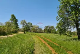 Poreč okolica: Građevinsko zemljište 7 km od Poreča, Poreč, Land