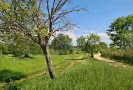 Poreč okolica: Građevinsko zemljište 7 km od Poreča, Poreč, Land