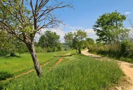 Poreč okolica: Građevinsko zemljište 7 km od Poreča, Poreč, Land