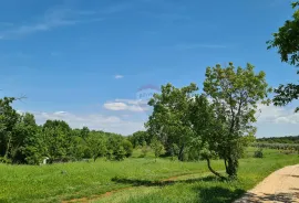 Poreč okolica: Građevinsko zemljište 7 km od Poreča, Poreč, Land