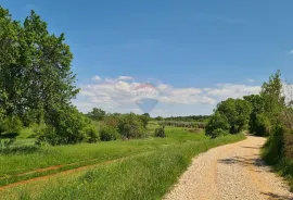 Poreč okolica: Građevinsko zemljište 7 km od Poreča, Poreč, Land