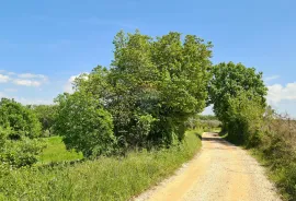 Poreč okolica: Građevinsko zemljište 7 km od Poreča, Poreč, Land