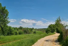 Poreč okolica: Građevinsko zemljište 7 km od Poreča, Poreč, Land