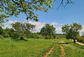 Poreč okolica: Građevinsko zemljište 7 km od Poreča, Poreč, Land