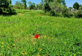 Poreč okolica: Građevinsko zemljište 7 km od Poreča, Poreč, Land