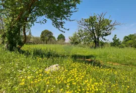 Poreč okolica: Građevinsko zemljište 7 km od Poreča, Poreč, Land