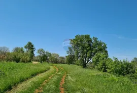 Poreč okolica: Građevinsko zemljište 7 km od Poreča, Poreč, Land