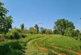 Poreč okolica: Građevinsko zemljište 7 km od Poreča, Poreč, Land