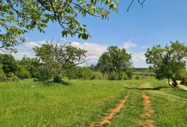 Poreč okolica: Građevinsko zemljište 7 km od Poreča, Poreč, Land