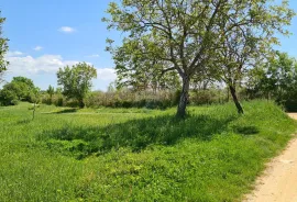 Poreč okolica: Građevinsko zemljište 7 km od Poreča, Poreč, Land