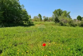 Poreč okolica: Građevinsko zemljište 7 km od Poreča, Poreč, Land