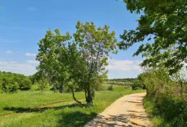 Poreč okolica: Građevinsko zemljište 7 km od Poreča, Poreč, Land