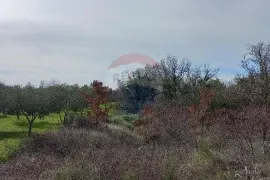 Istra, okolica Vodnjana, maslinik i pašnjak, Vodnjan, Zemljište