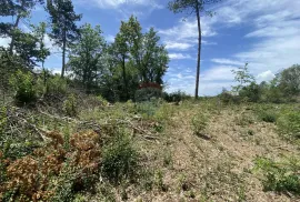 ISTRA, PAZIN - Industrijsko zemljište u poslovnoj zoni, dio ili cjelina, 35e/m2, Pazin, Terrain