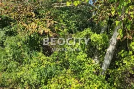 Sopot, Popović, Šumadijskih brigada, 26a, Sopot, Terreno