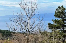 Bakar, Hreljin, dvojna kuća s 2 stana i okućnicom, Bakar, Casa