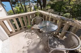 OPATIJA- etaža vile + studio apartman sa okućnicom, garažom i pogledom na more, blizu mora, Opatija, Appartment