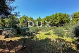 OTOK KRK, GRAD KRK (okolica) - MASLINIK, 1400 m2, sa pomoćnim objektom, samo 150 metara od mora, rijetkost u ponudi, jedinstvena prilika, sniženo!!!, Krk, Tierra