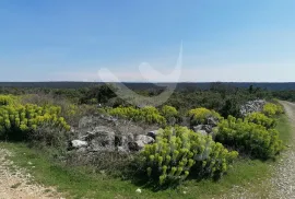 PROSTRANO POLJOPRIVREDNO ZEMLJIŠTE U SRCU CRESA, Cres, Land