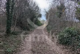 EKSKLUZIVNO VELIKO POLJOPRIVREDNO ZEMLJIŠTE S POGLEDOM NA MORE, Vodnjan, Γη