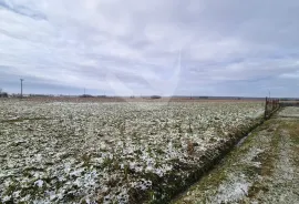 POLJOPRIVREDNO ZEMLJIŠTE NA RUBU URBANIZACIJE, Hercegovac, Arazi