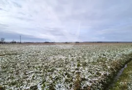 POLJOPRIVREDNO ZEMLJIŠTE NA RUBU URBANIZACIJE, Hercegovac, Земля