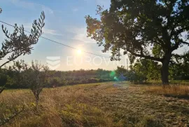 Istra, Oprtalj, autohtona istarska kuća sa prostranim građevinskim zemljištem, Oprtalj, Land