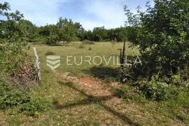 Istra, Poreč - poljoprivredno zemljište 62710 m2, Poreč, Zemljište