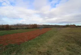 Kompleks starih istarskih kuća s pogledom na more za renoviranje, Vižinada, Kuća