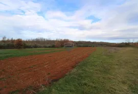 Kompleks starih istarskih kuća s pogledom na more za renoviranje, Vižinada, Kuća